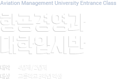 국내항공사 여승무원